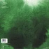 The Ocean - Phanerozoic I: Palaeozoic (Instrumental) Moss Colred Vinyl Edition