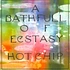 Hot Chip - A Bath Full Of Ecstasy