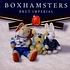 Boxhamsters - Brut Imperial