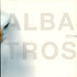 Albatros - Dalsass Norbert & E-Volution