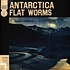 Flat Worms - Antarctica