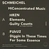 Schmeichel - Hiconcentrated Music