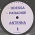 Antenna - Odessa