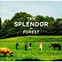Splendor - Forest