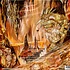 Tomb Mold - Manor Of Infinite Forms Orange Crush Cloudy Vinyl Edition