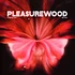 Pleasurewood - Firework / Move!