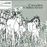 Agnes presents Cavalier - A Million Horses