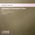 David James - (Always) A Permanent State