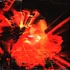 Trey Anastasio Band - Burn It Down Plasma Orange Vinyl Edition