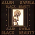 Allen Kwela - Black Beauty