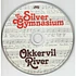 Okkervil River - The Silver Gymnasium