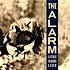 The Alarm - Electric Folklore Live