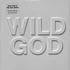 Nick Cave & The Bad Seeds - Wild God Deluxe Edition