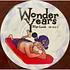 Fallen From The Sky / The Wonder Years - Under The Influence Vol. 13