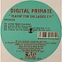 Digital Primate - Playin For The Ladies E.P.