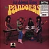 The Pandoras - It's About Time