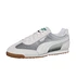 Puma - Arizona Astro Escape