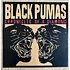 Black Pumas - Chronicles Of A Diamond