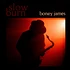 Boney James - Slow Burn