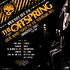 The Offspring - Wbcn River Rave Live At Great Woods Center 1998