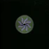 Stojche - Stomping Ground 2026 Repress