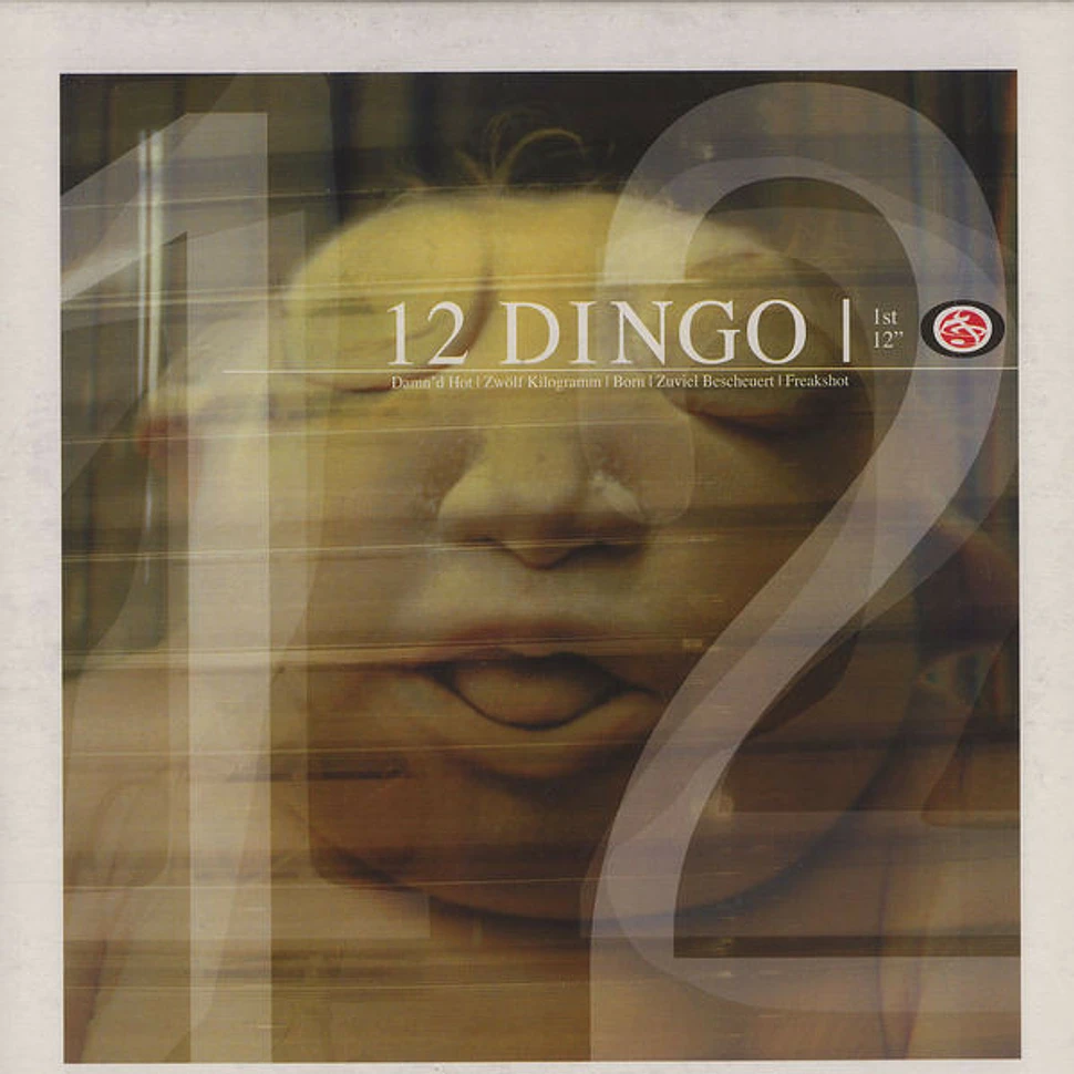 12 Dingo - 1st 12"