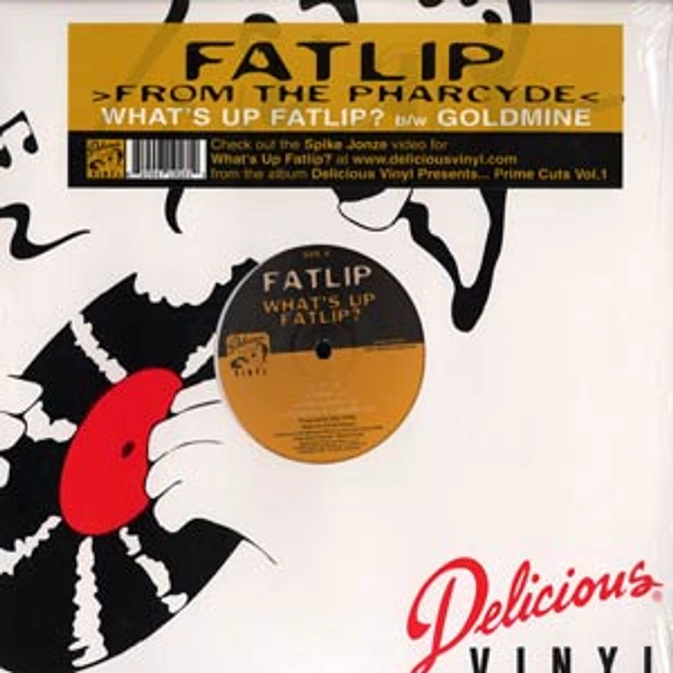 Fatlip of The Pharcyde - What's up fatlip / goldmine