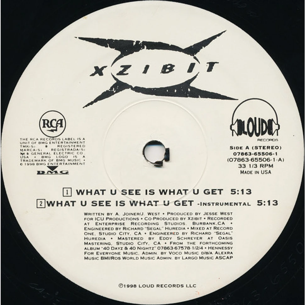 Xzibit - What U See Is What U Get