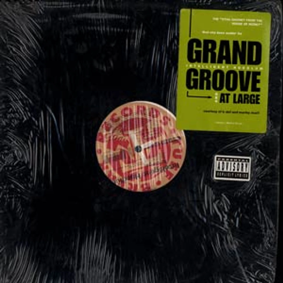 Intelligent Hoodlum Grand Groove At Large Vinyl 12
