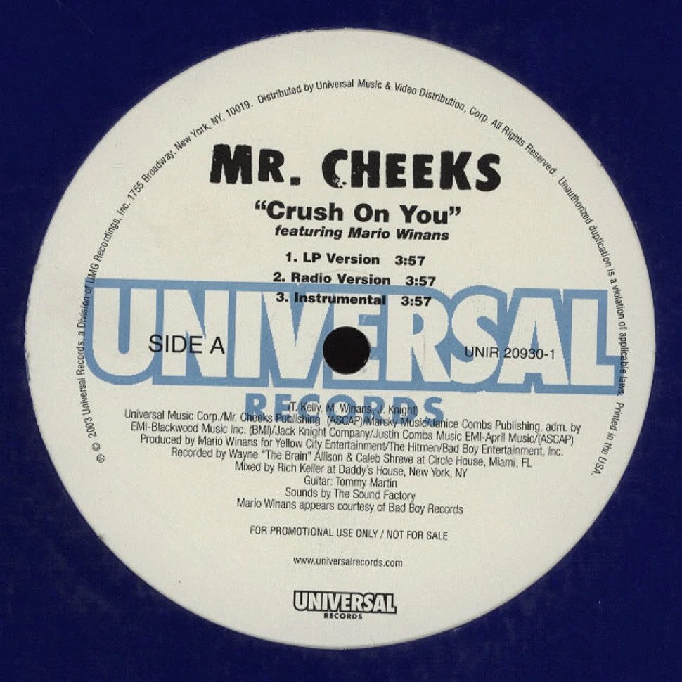 Mr.Cheeks of Lost Boyz - Crush on you