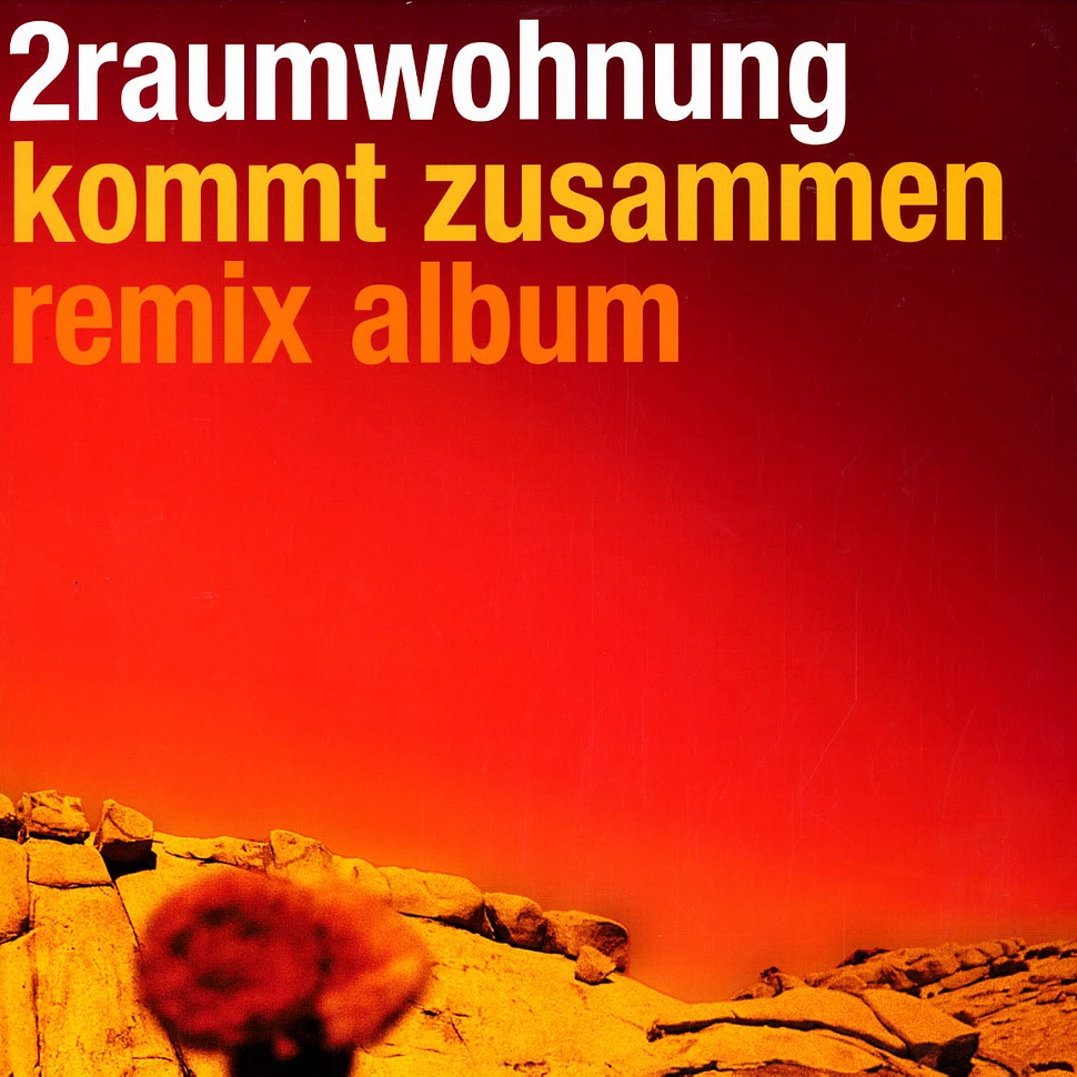 2raumwohnung - Kommt zusammen remix album