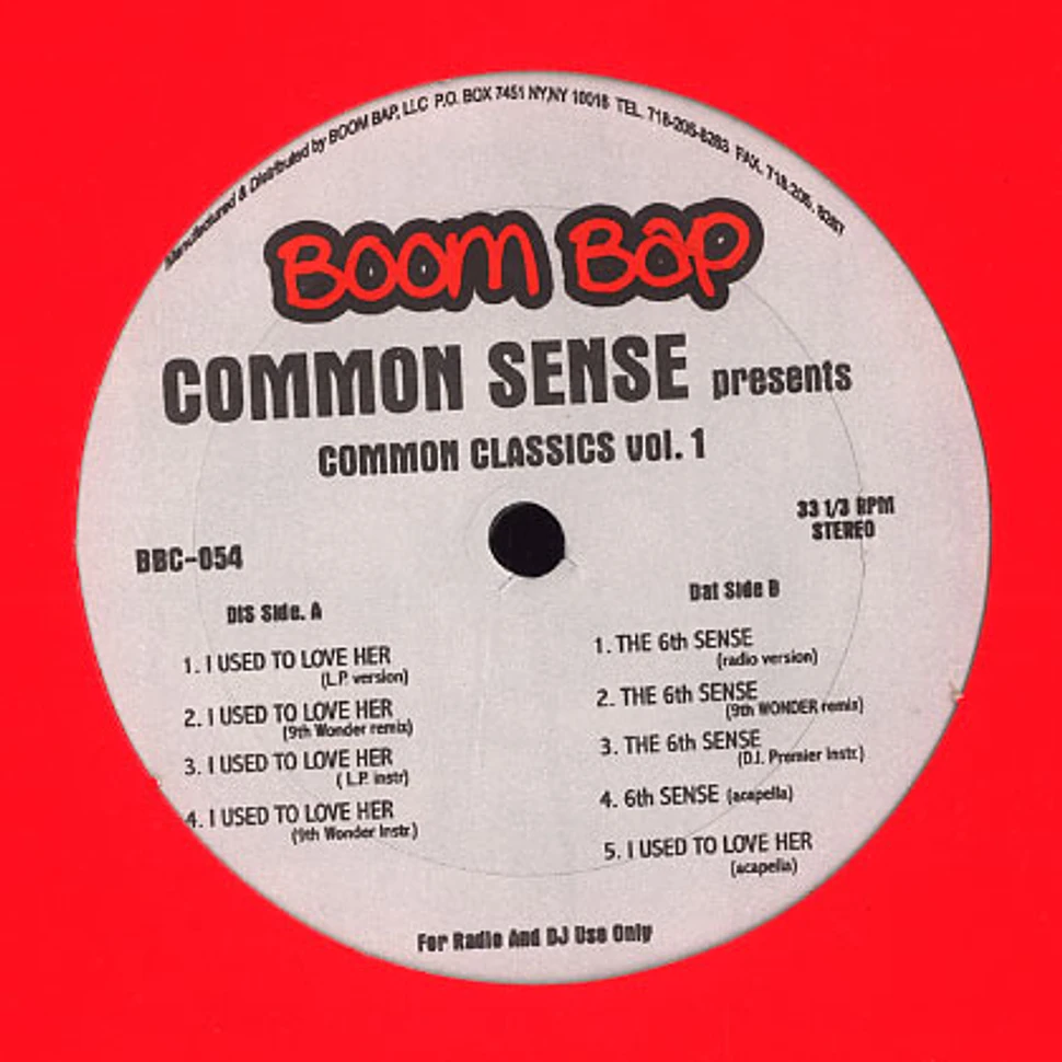Common - I used to love her / the 6th sense