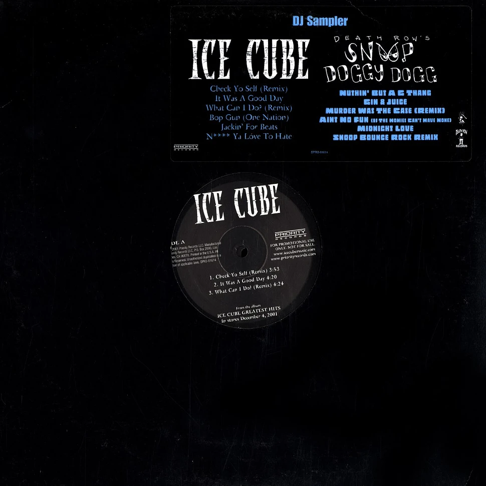 Ice Cube / Snoop Doggy Dogg - DJ sampler