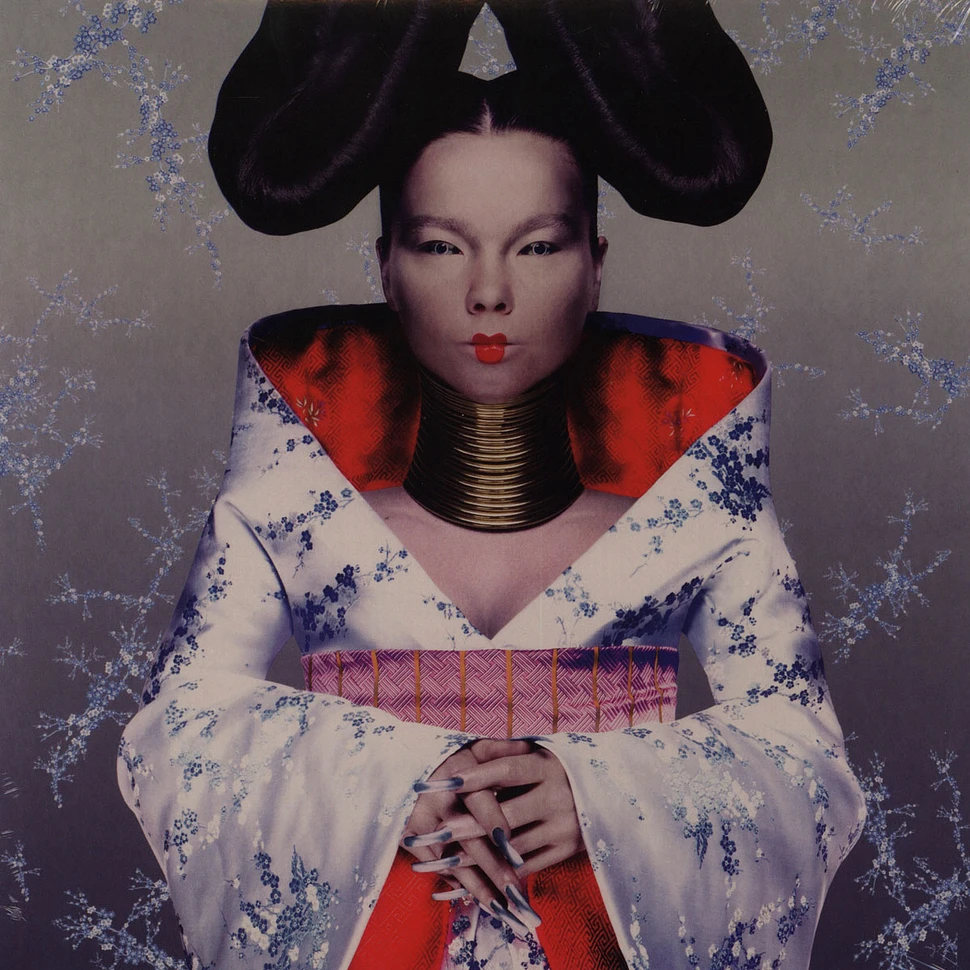 Björk - Homogenic