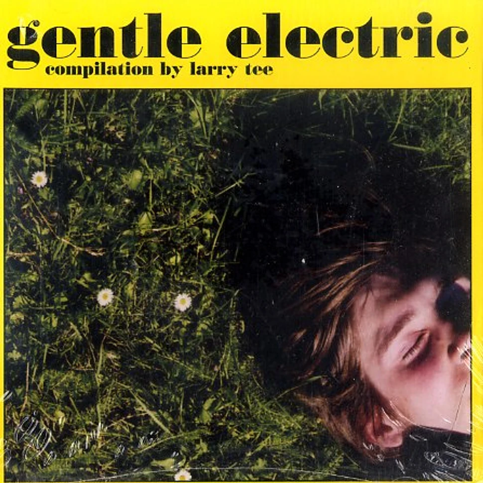 Larry Tee compiles - Gentle electric