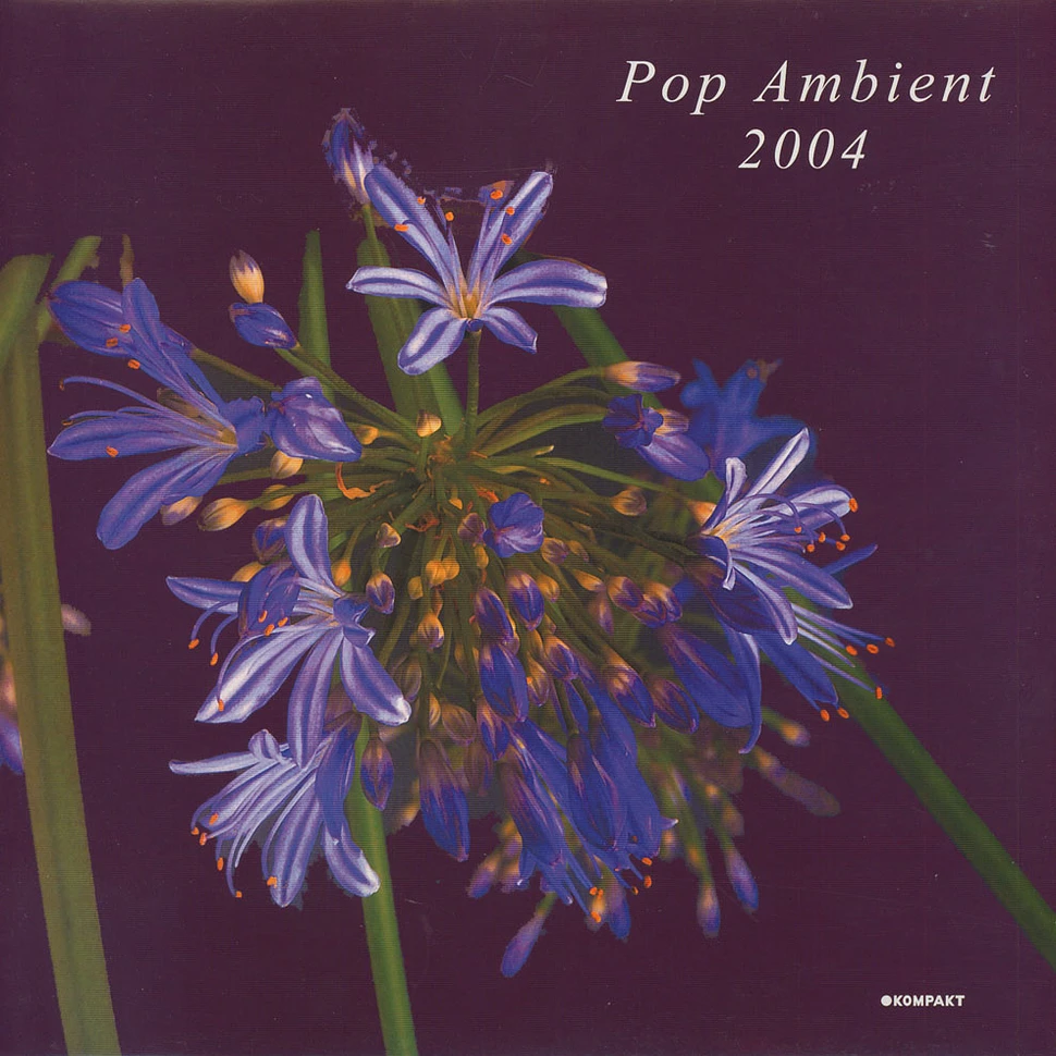 V.A. - Pop Ambient 2004