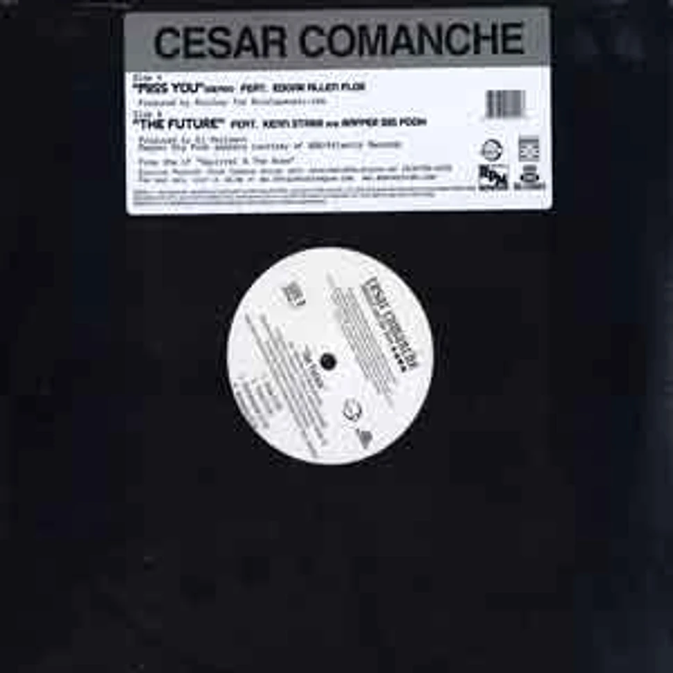 Cesar Comanche - Miss you remix feat. Edgar Ellen Floe