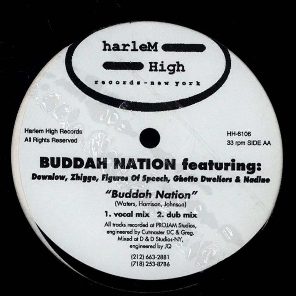 Downlow / Buddah Nation - Hands On Ya Pumpz / Buddah Nation