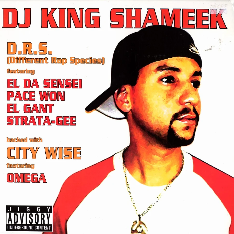 DJ King Shameek - D.r.s. feat. El Da Sensei, Pace One, El Gant, Strata-Gee