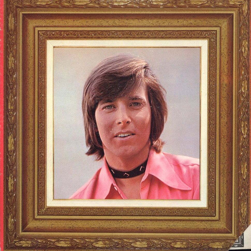 Bobby Sherman - Portrait of Bobby