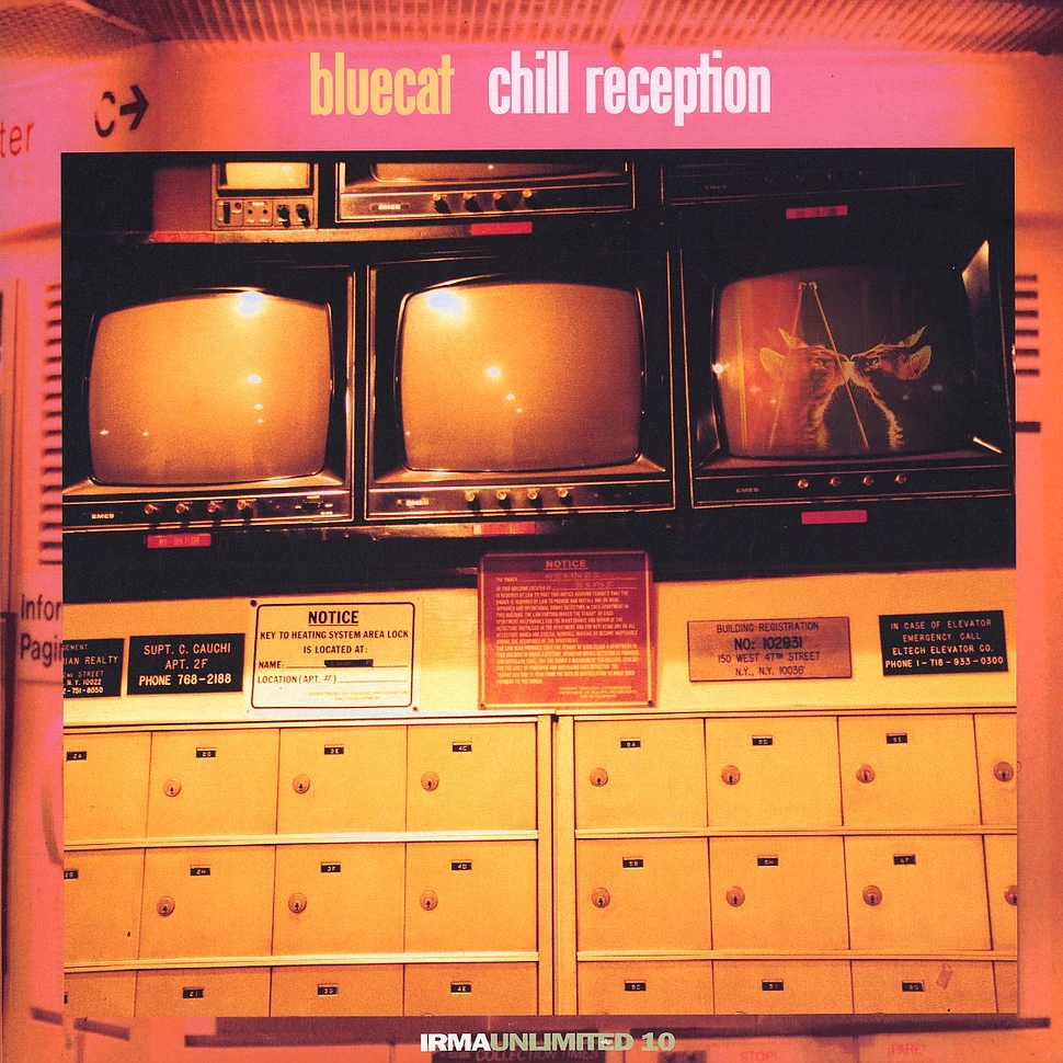 Bluecat - Chill reception