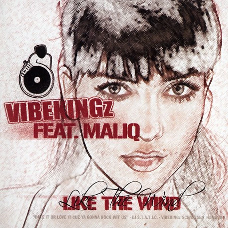 Vibekingz - She's like the wind feat. Maliq