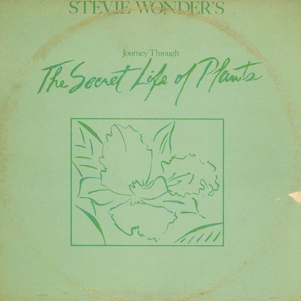 Stevie Wonder - Journey Through The Secret Life Of Plants