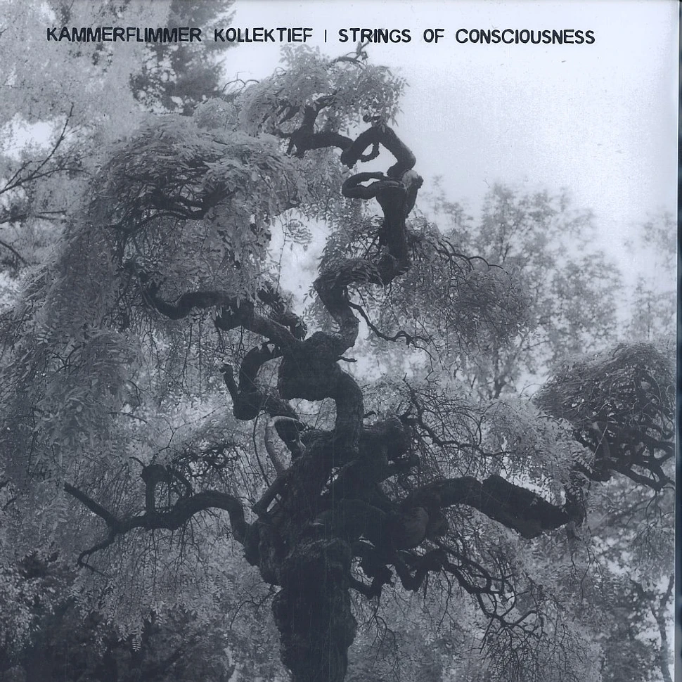 Kammerflimmer Kollektief / Strings Of Consciousness - Split EP