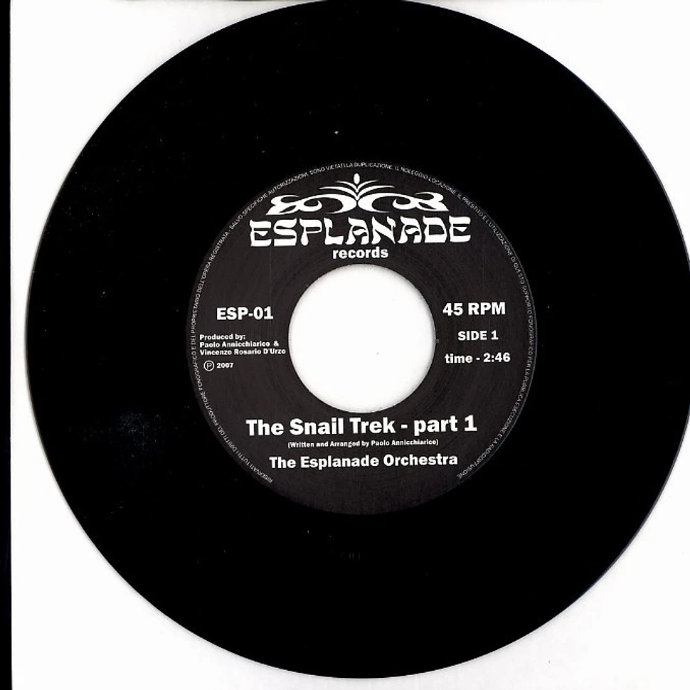 The Esplanade Orchestra - The snail trek part 1
