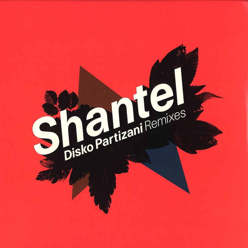 Shantel - Disko partizani remixes