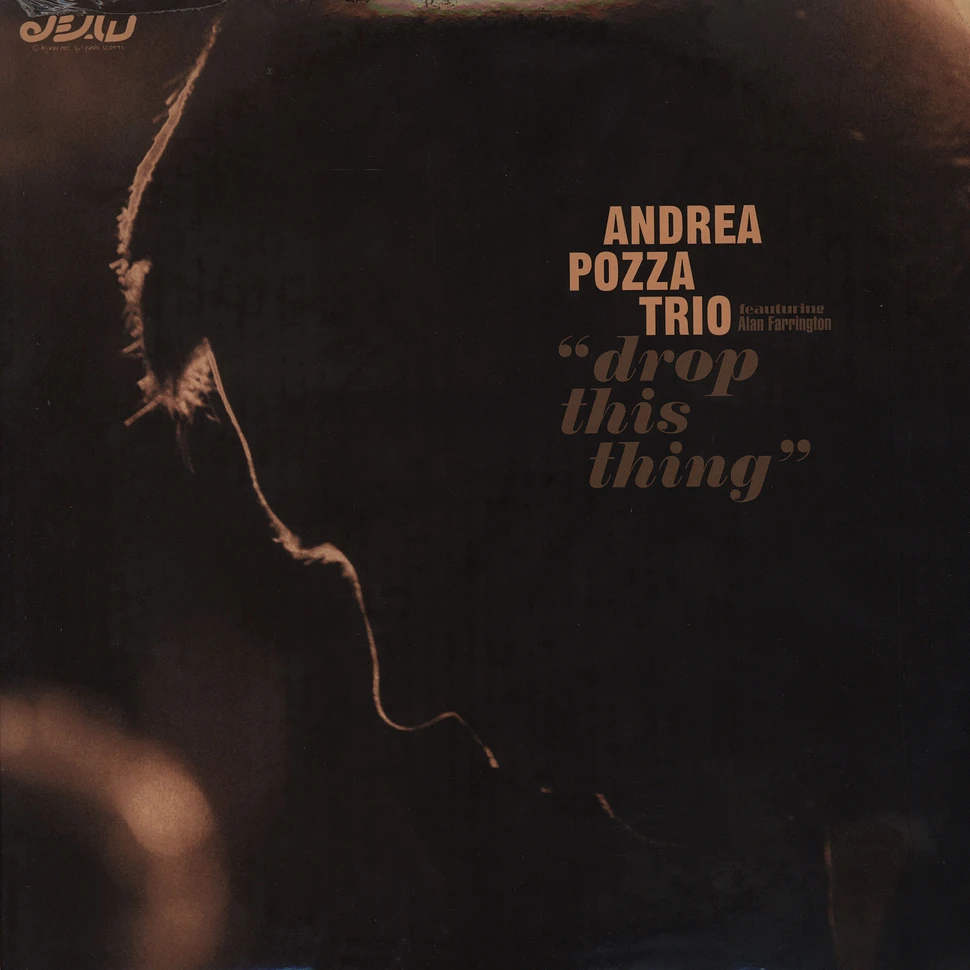 Andrea Pozza Trio - Drop this thing