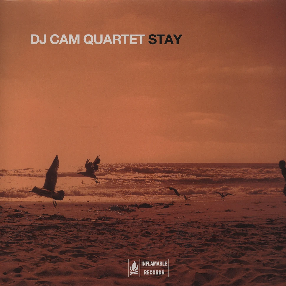 DJ Cam Quartet - Stay