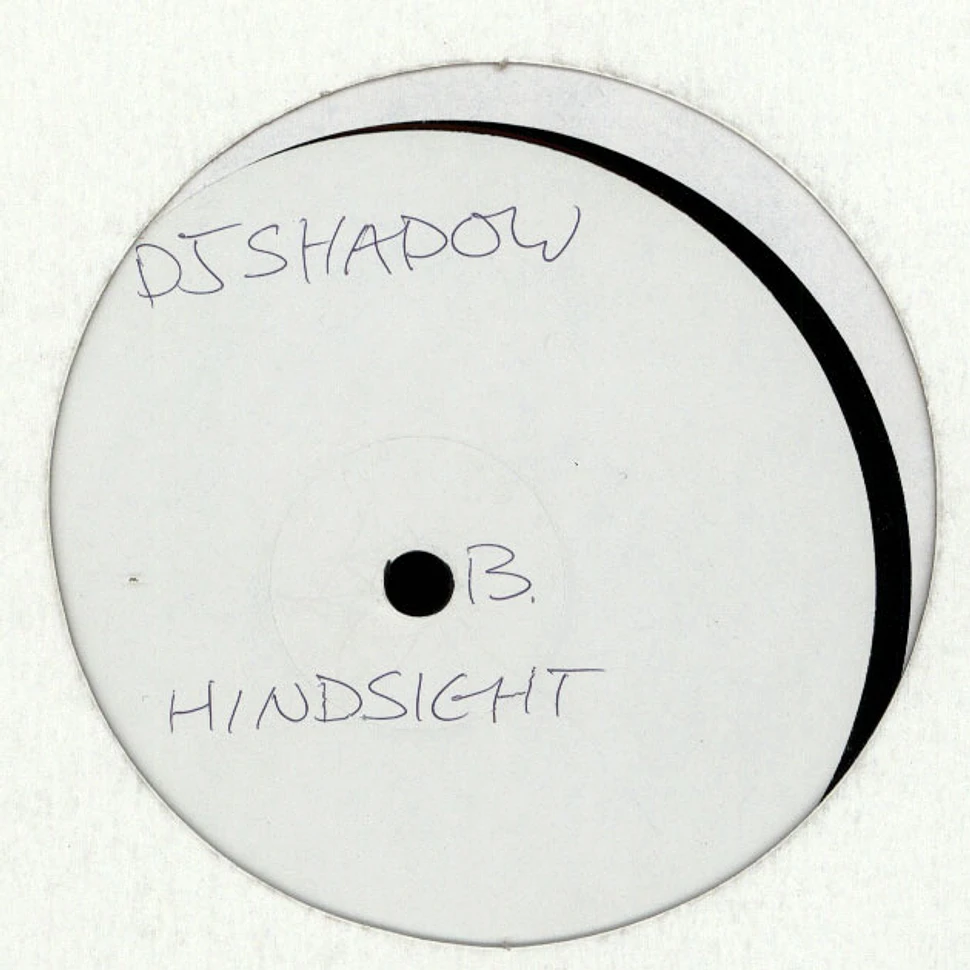 DJ Shadow And The Groove Robbers - In/Flux / Hindsight