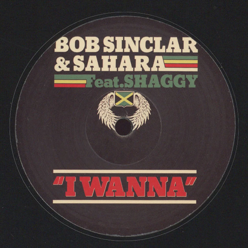 Bob Sinclar & Shaggy - I Wanna